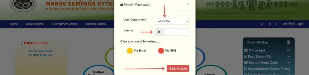 Forgot Password  Reset